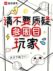 請不要質疑多周目玩家