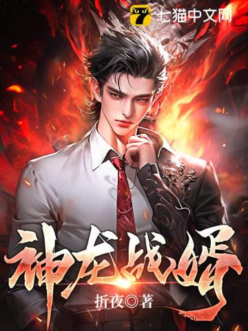 神龍戰婿